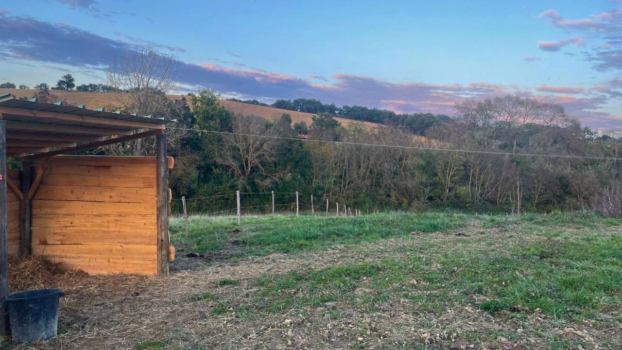 Hippisch vastgoed Koop Gers