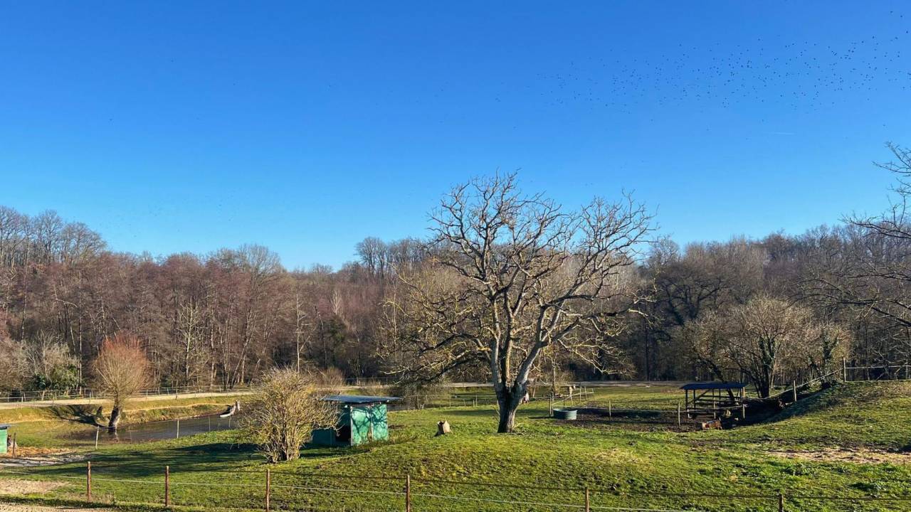 Hippisch vastgoed Koop Gironde