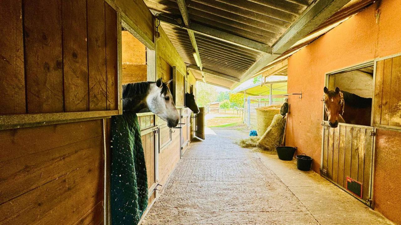 Hippisch vastgoed Koop Tarn-et-Garonne