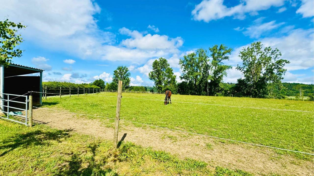 Hippisch vastgoed Koop Tarn-et-Garonne