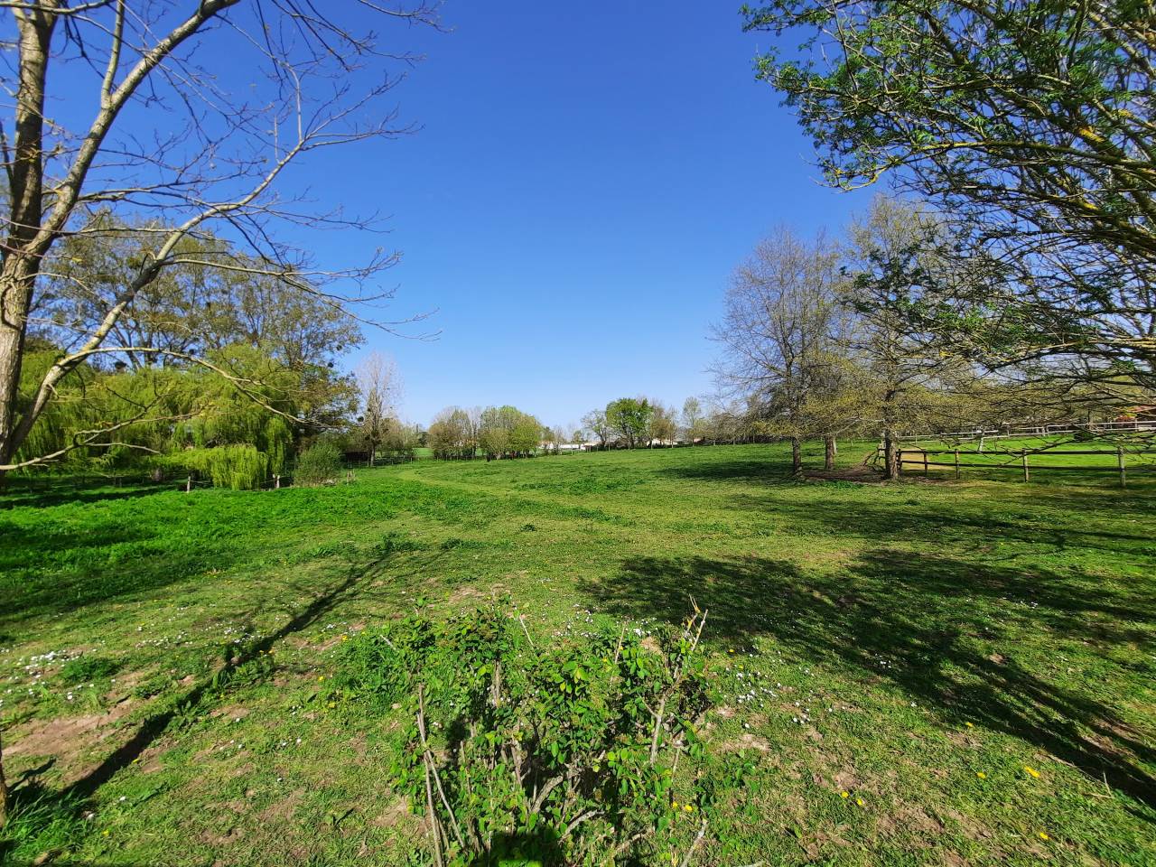 Hippisch vastgoed Koop Vendée