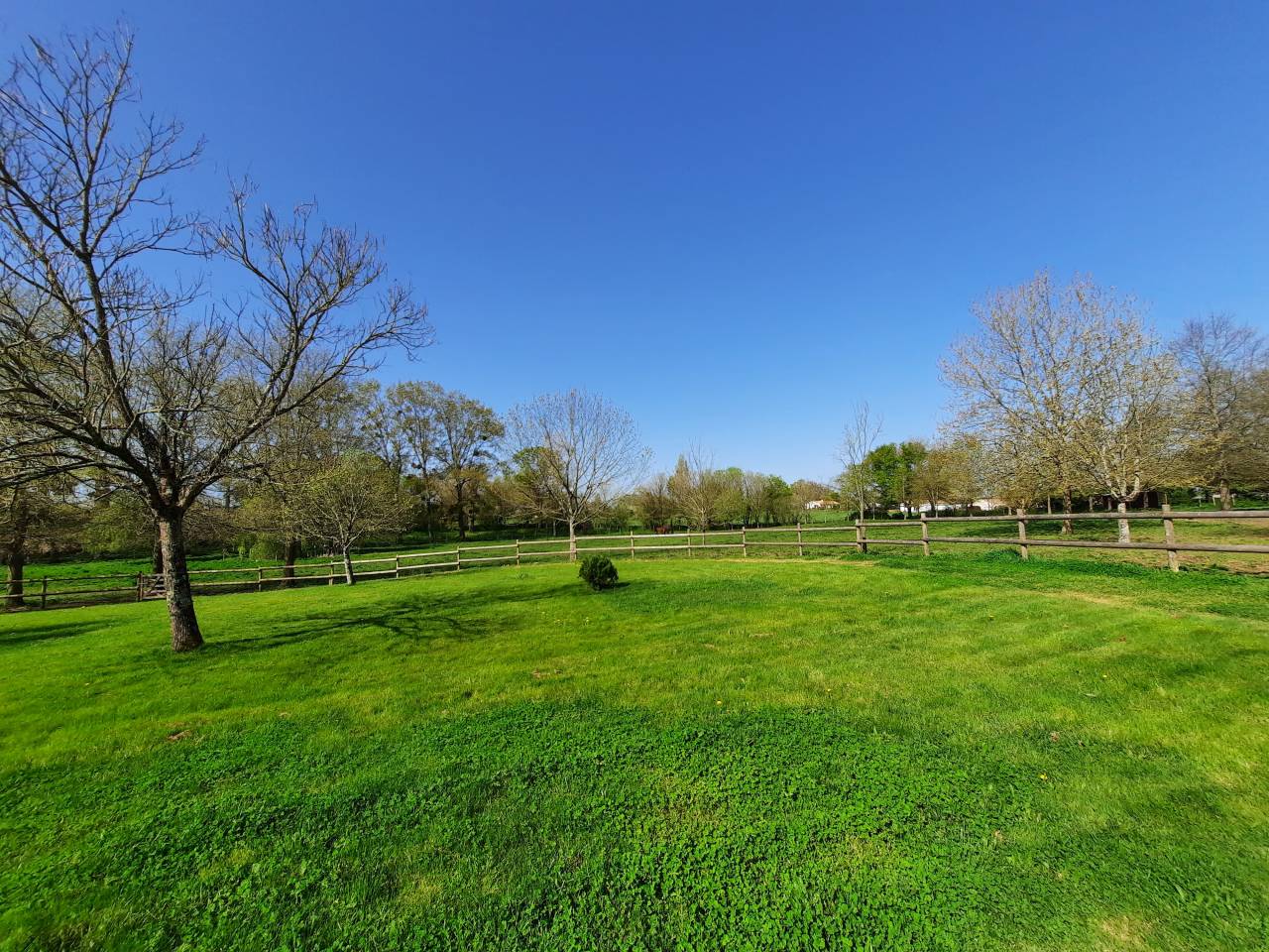 Hippisch vastgoed Koop Vendée