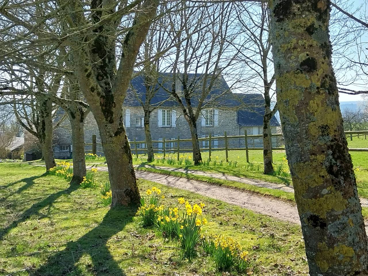 Mooi hippisch vastgoed Koop Calvados