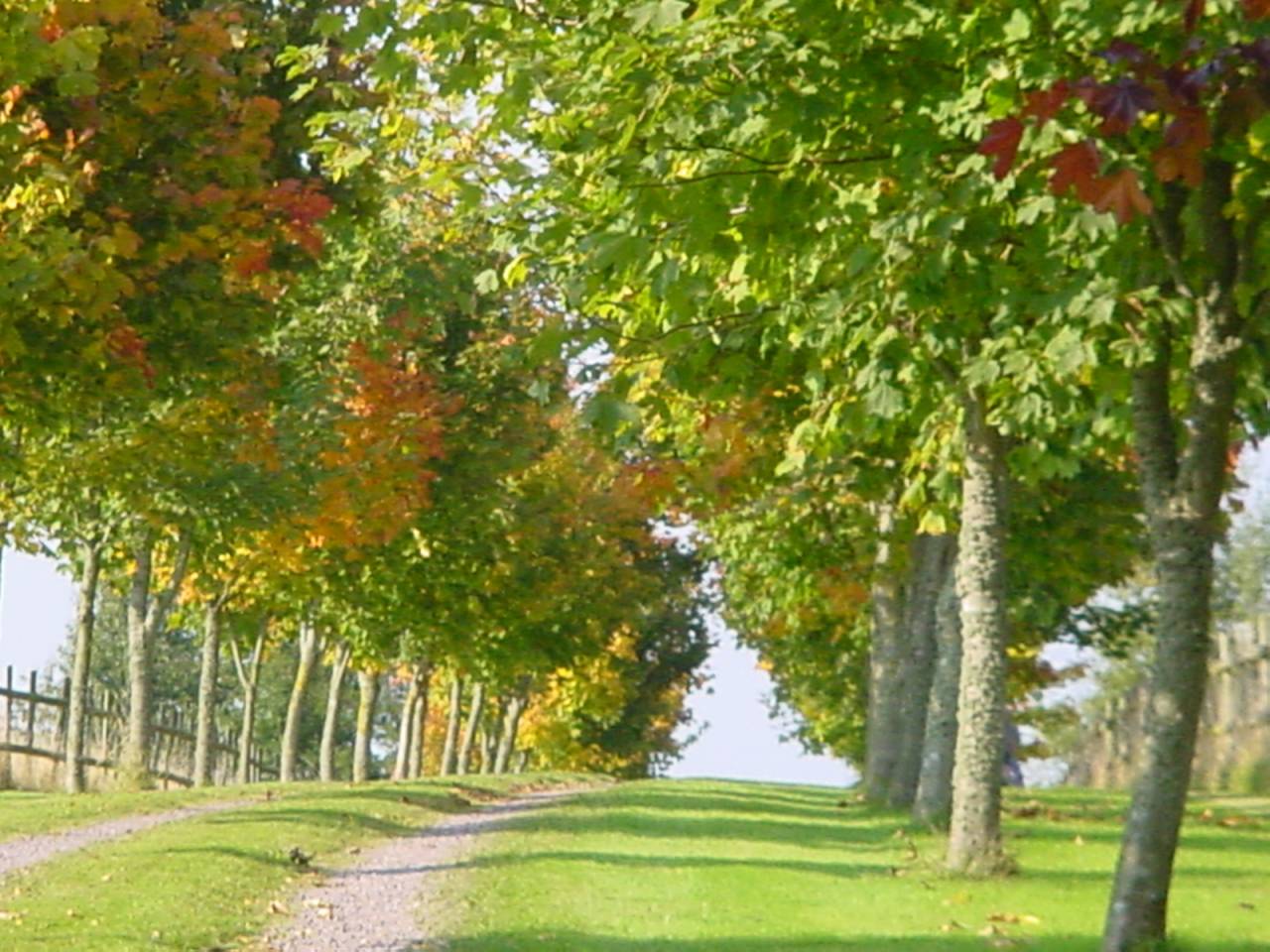 Mooi hippisch vastgoed Koop Calvados