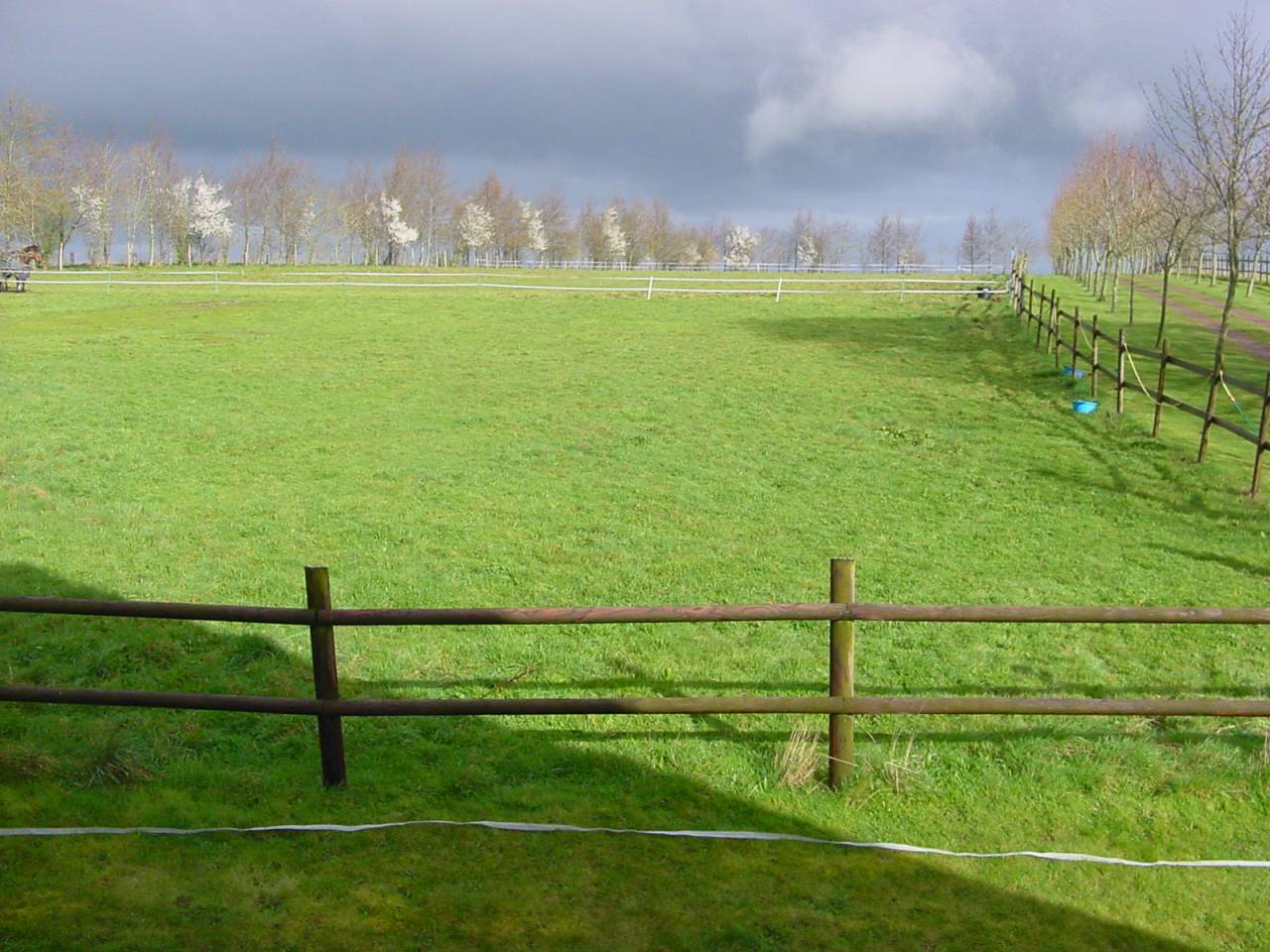 Mooi hippisch vastgoed Koop Calvados