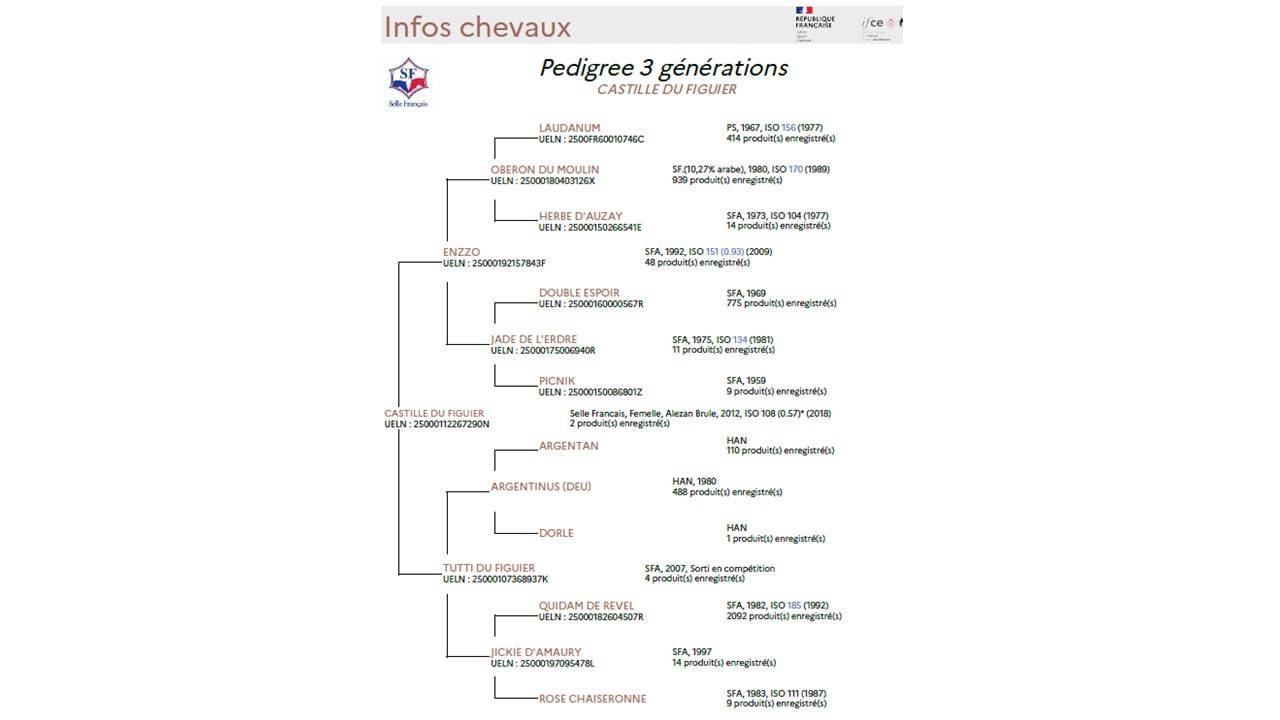 Merrie Selle Français Te koop 2012 Vos