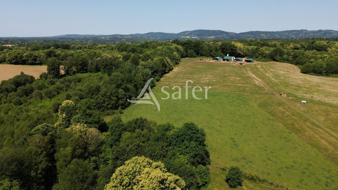 Landbouw bedrijf Koop Haute-Vienne