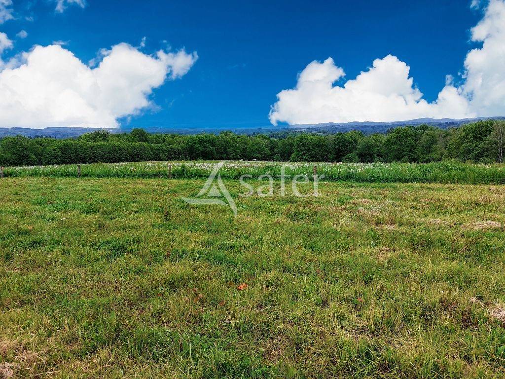 Landbouw bedrijf Koop Haute-Vienne