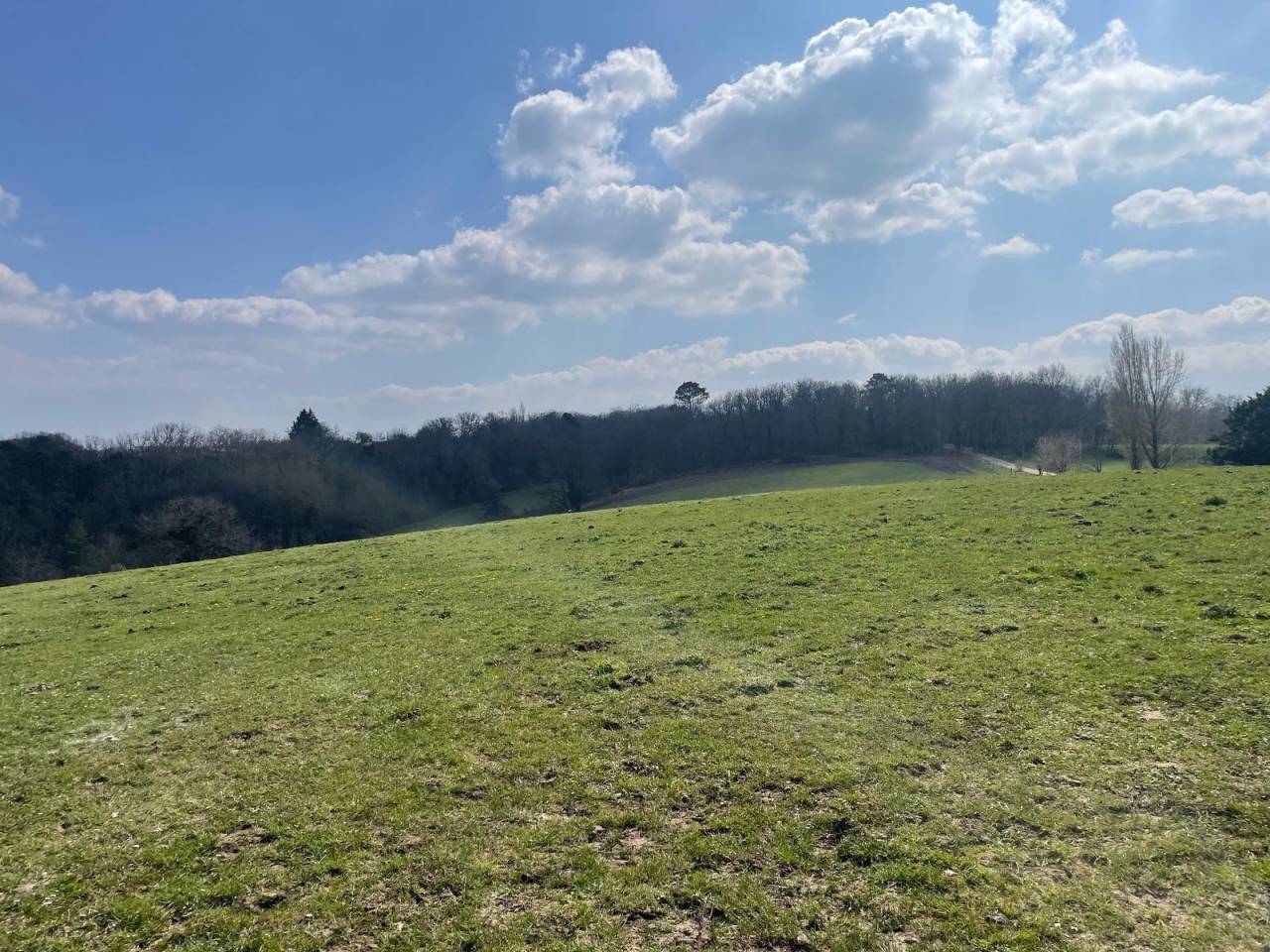 Hippisch vastgoed Koop Dordogne