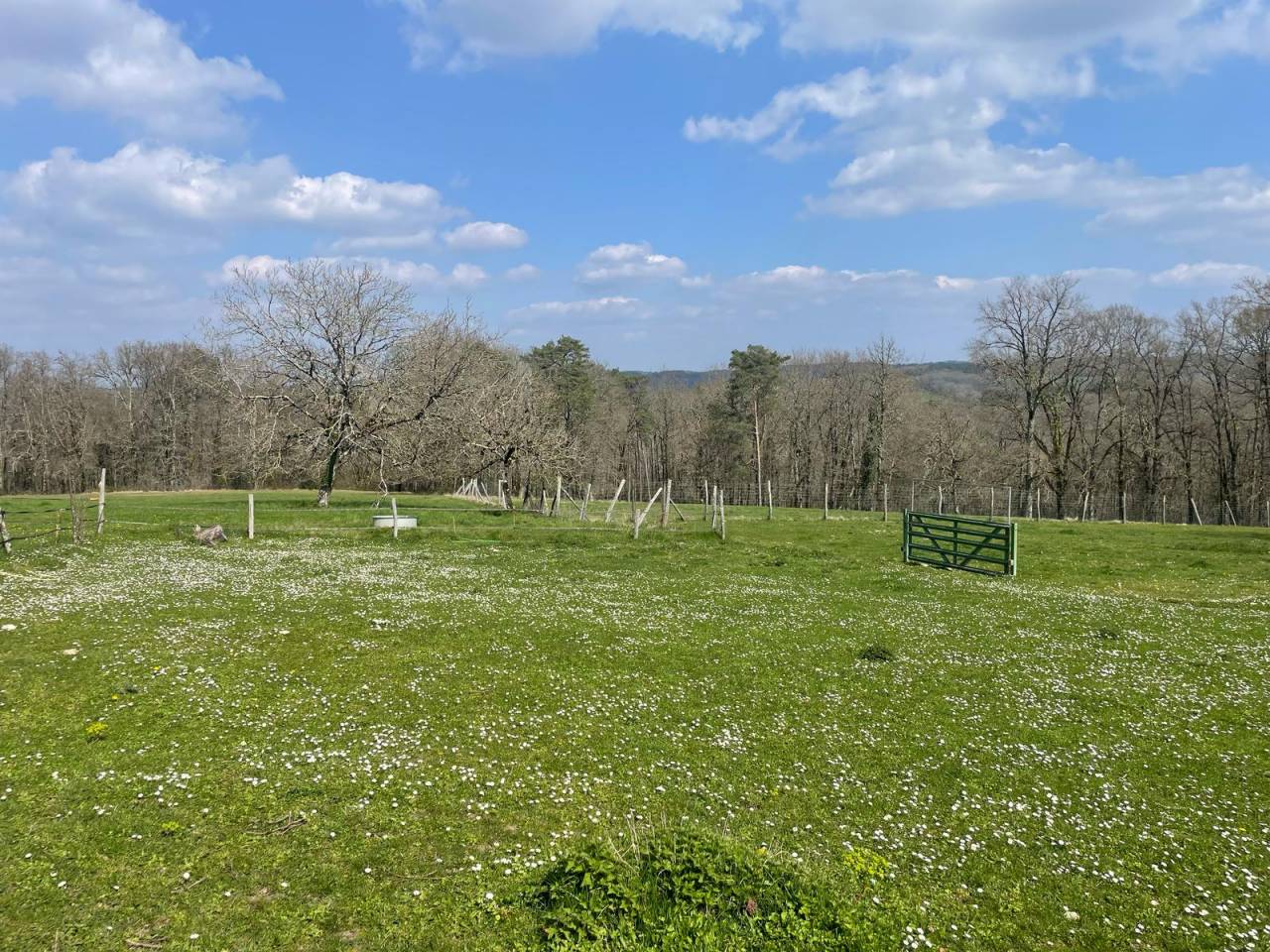 Hippisch vastgoed Koop Dordogne