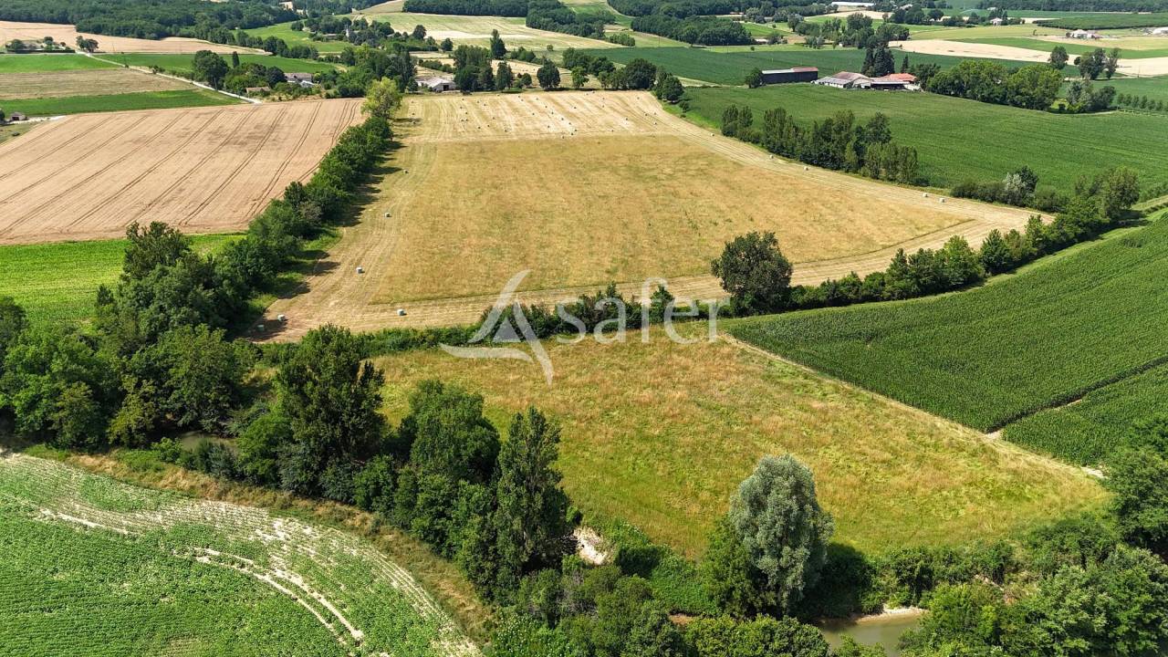Schapen exploitatie Koop Tarn-et-Garonne