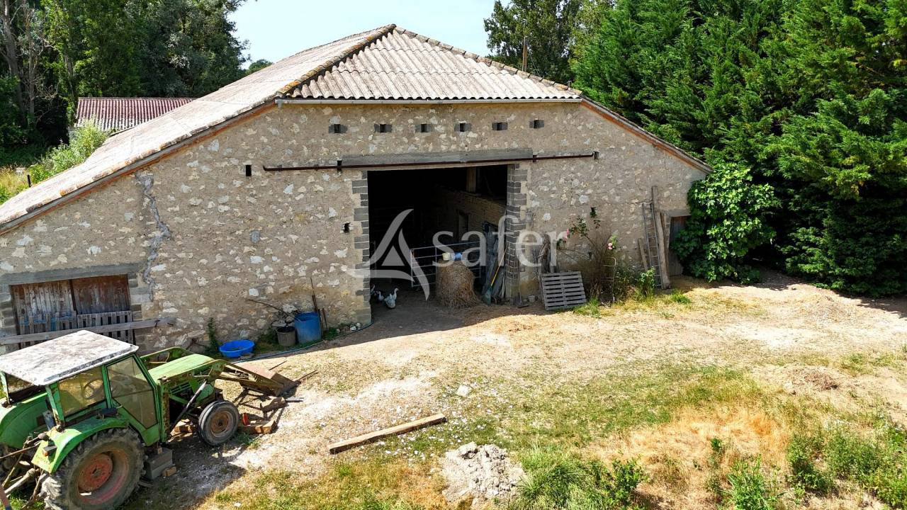 Schapen exploitatie Koop Tarn-et-Garonne