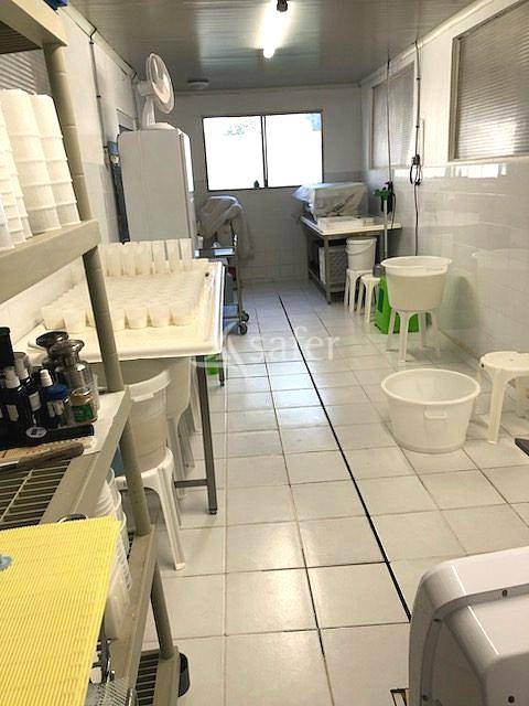 Schapen exploitatie Koop Tarn-et-Garonne