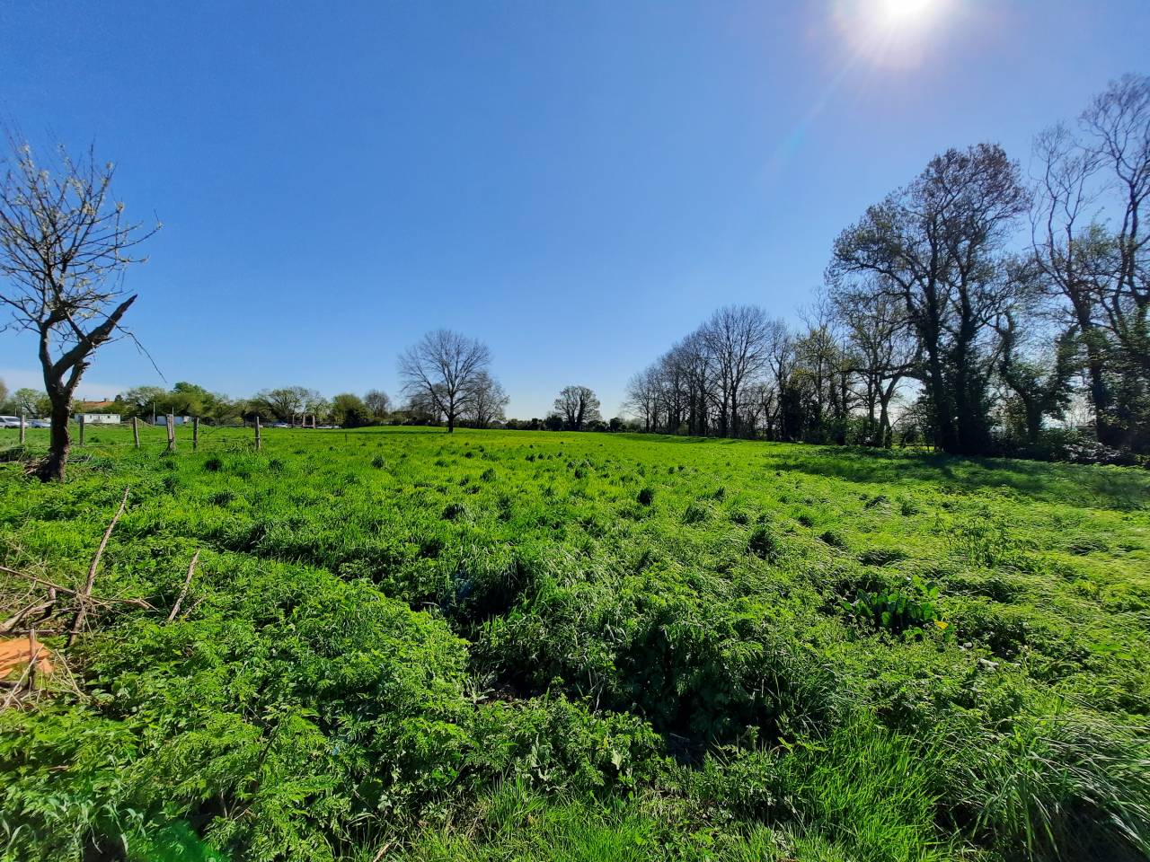 Hippisch vastgoed Koop Vendée