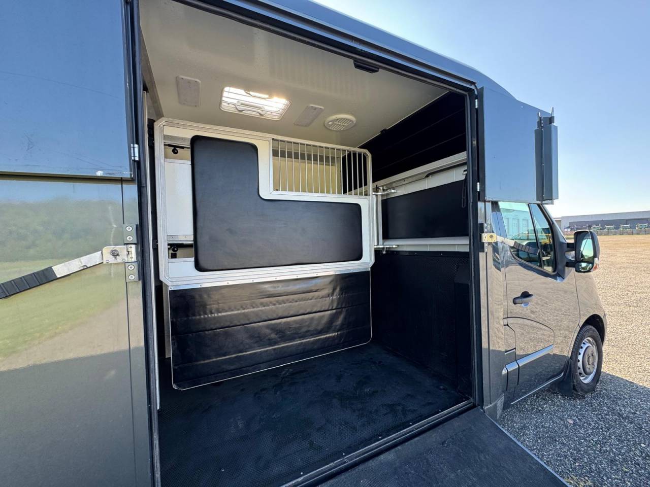 Kleine paardenvrachtwagen (B rijbewijs) AKX Renault 2021 Tweedehands