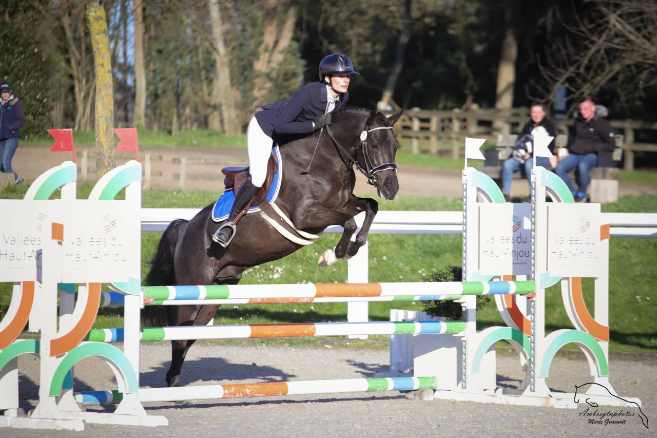 MERRIE MALACHIE  - New Forest 2019 ,  MERRIE MADHATTER