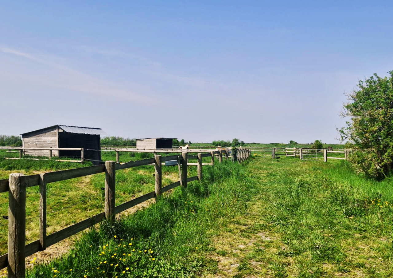 Mooi hippisch vastgoed Koop Ile-et-Vilaine