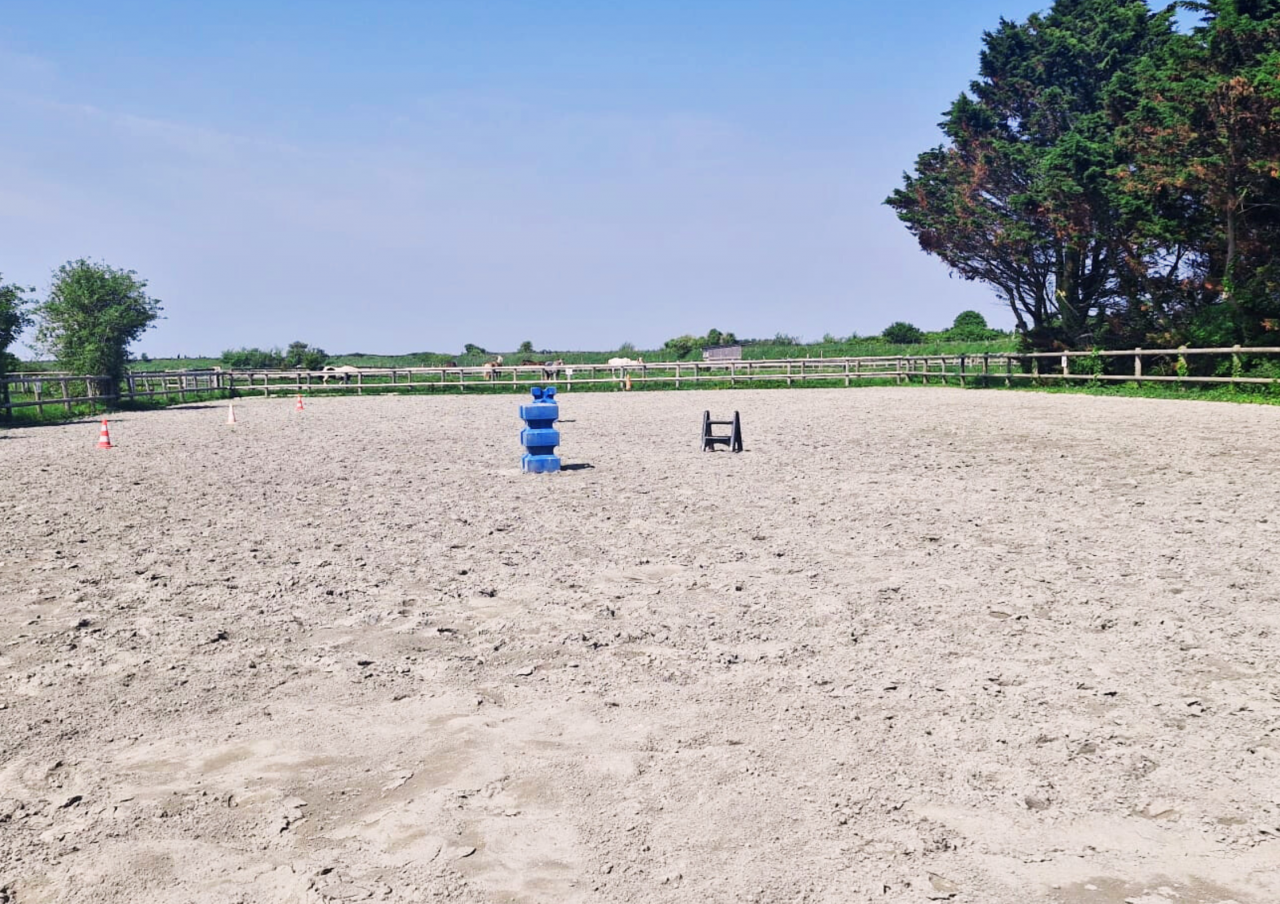 Mooi hippisch vastgoed Koop Ile-et-Vilaine