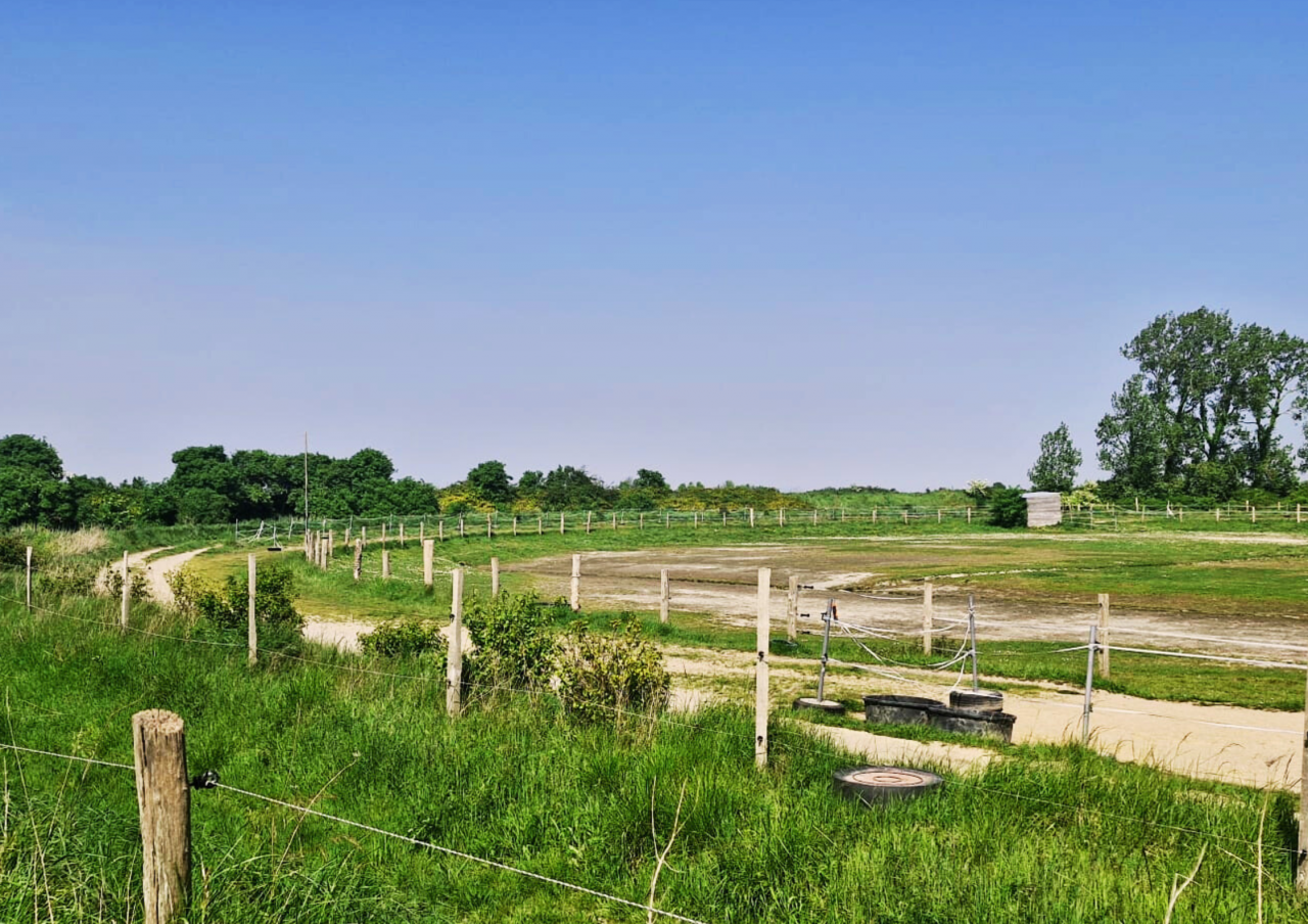 Mooi hippisch vastgoed Koop Ile-et-Vilaine
