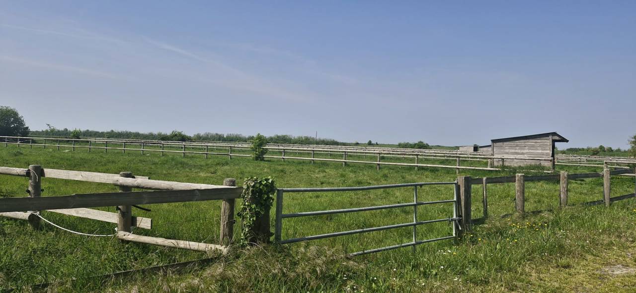 Mooi hippisch vastgoed Koop Ile-et-Vilaine