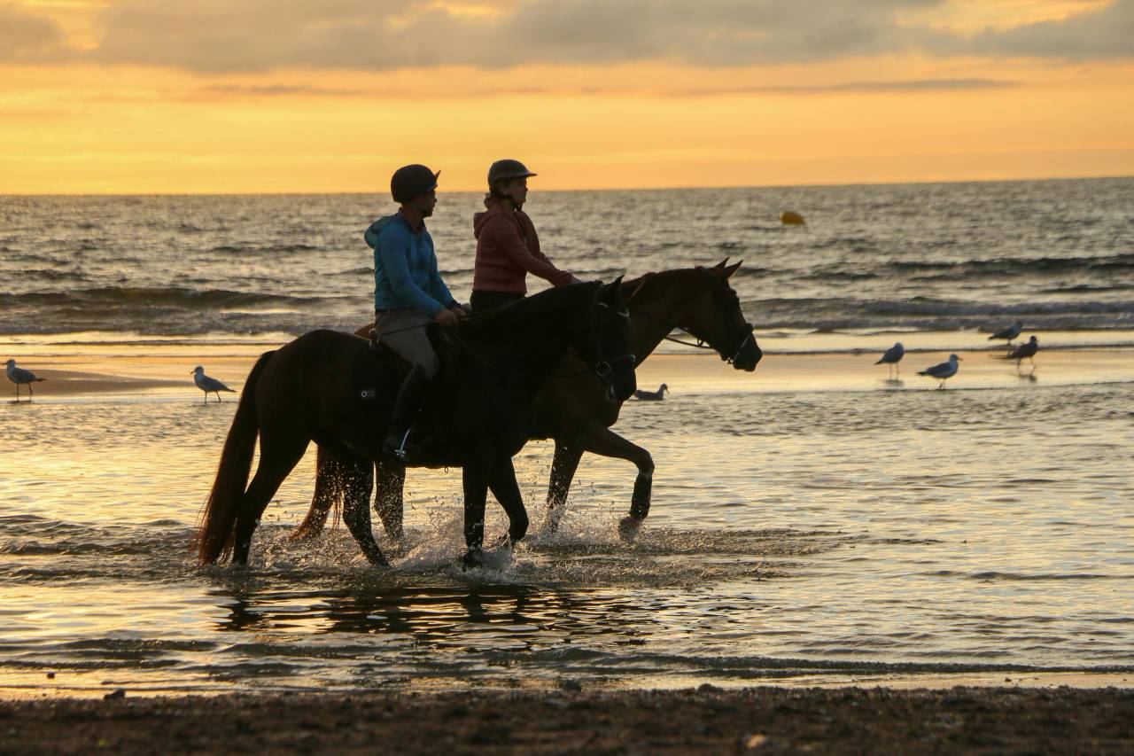 Mooi hippisch vastgoed Koop Ile-et-Vilaine