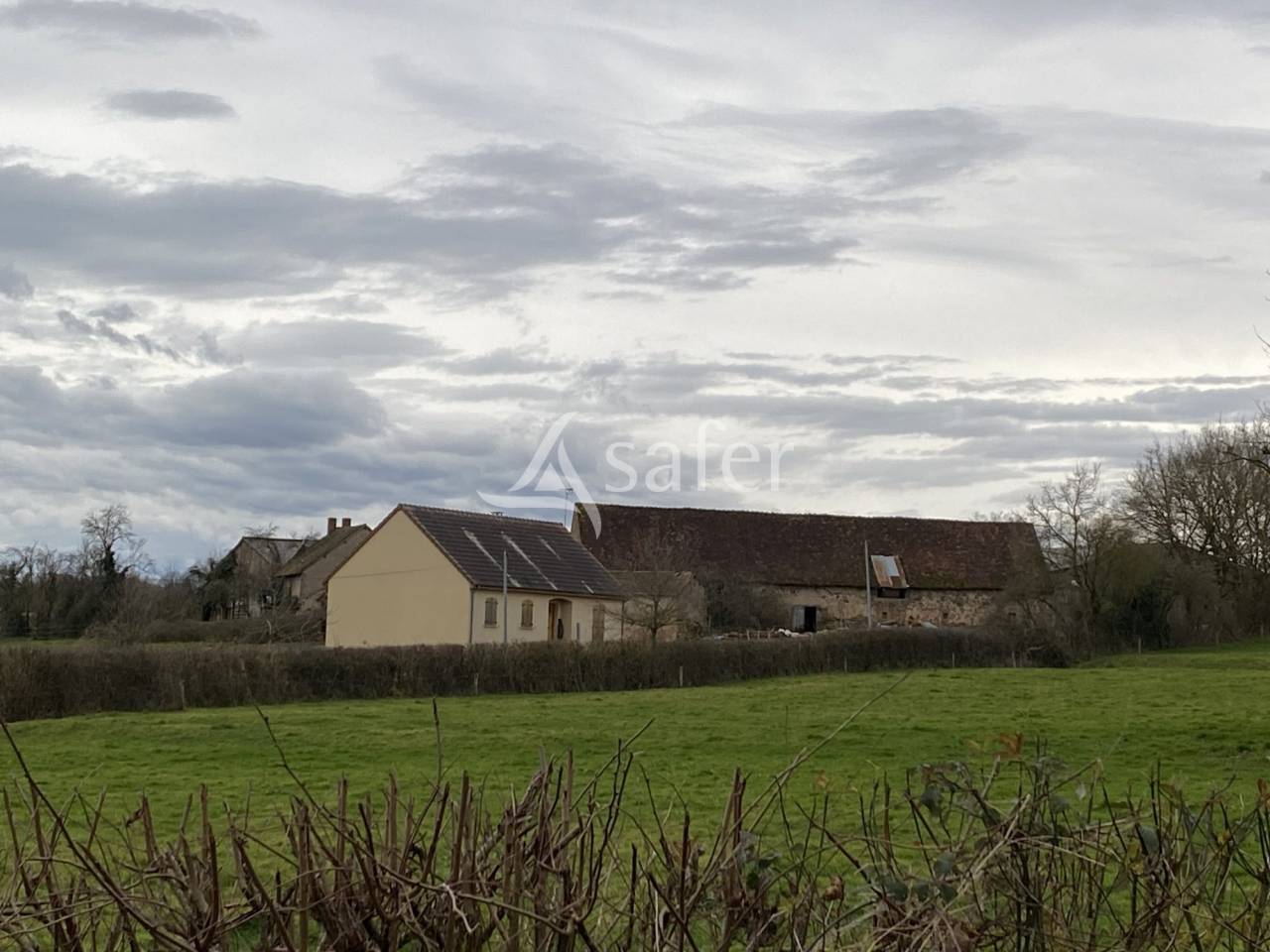 Schapen exploitatie Koop Allier