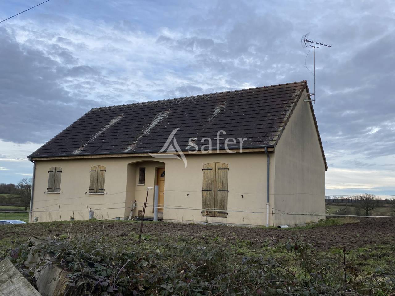 Schapen exploitatie Koop Allier