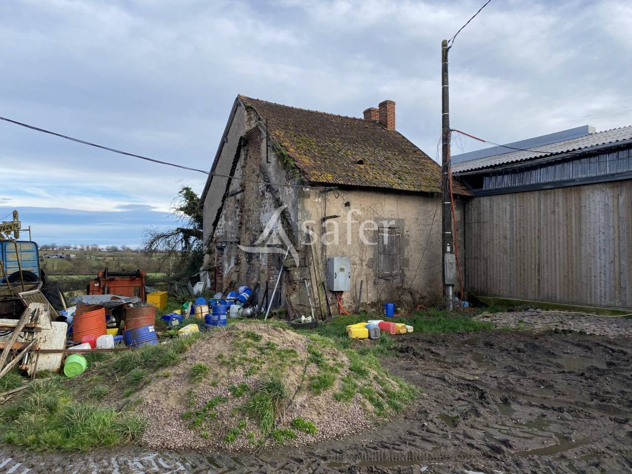 Schapen exploitatie Koop Allier