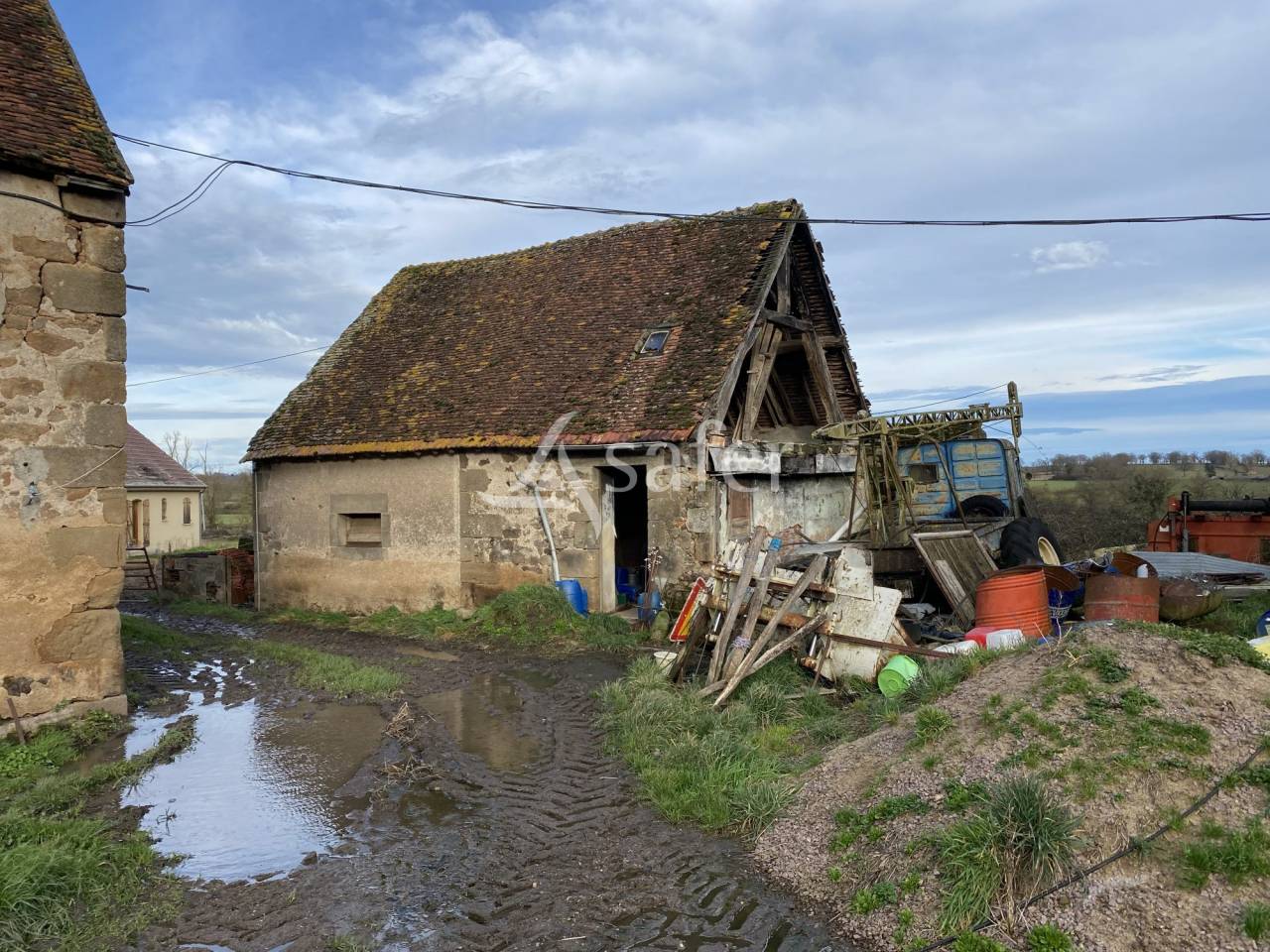 Schapen exploitatie Koop Allier