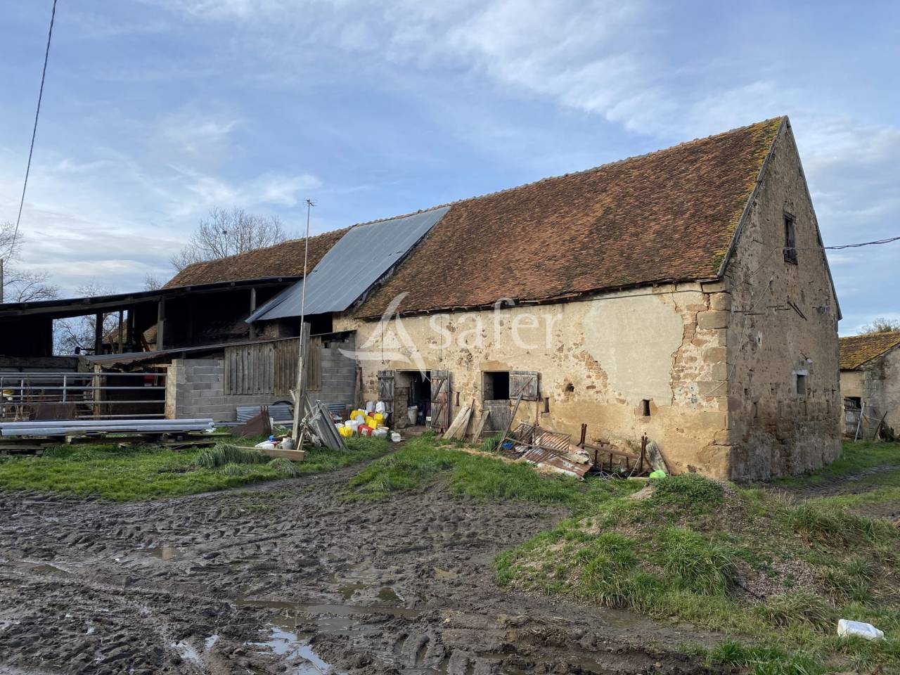 Schapen exploitatie Koop Allier