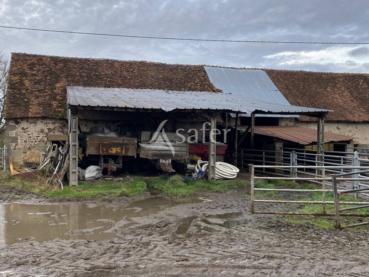 Schapen exploitatie Koop Allier