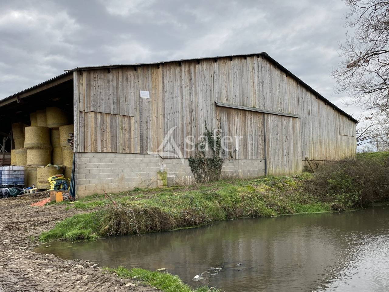 Schapen exploitatie Koop Allier