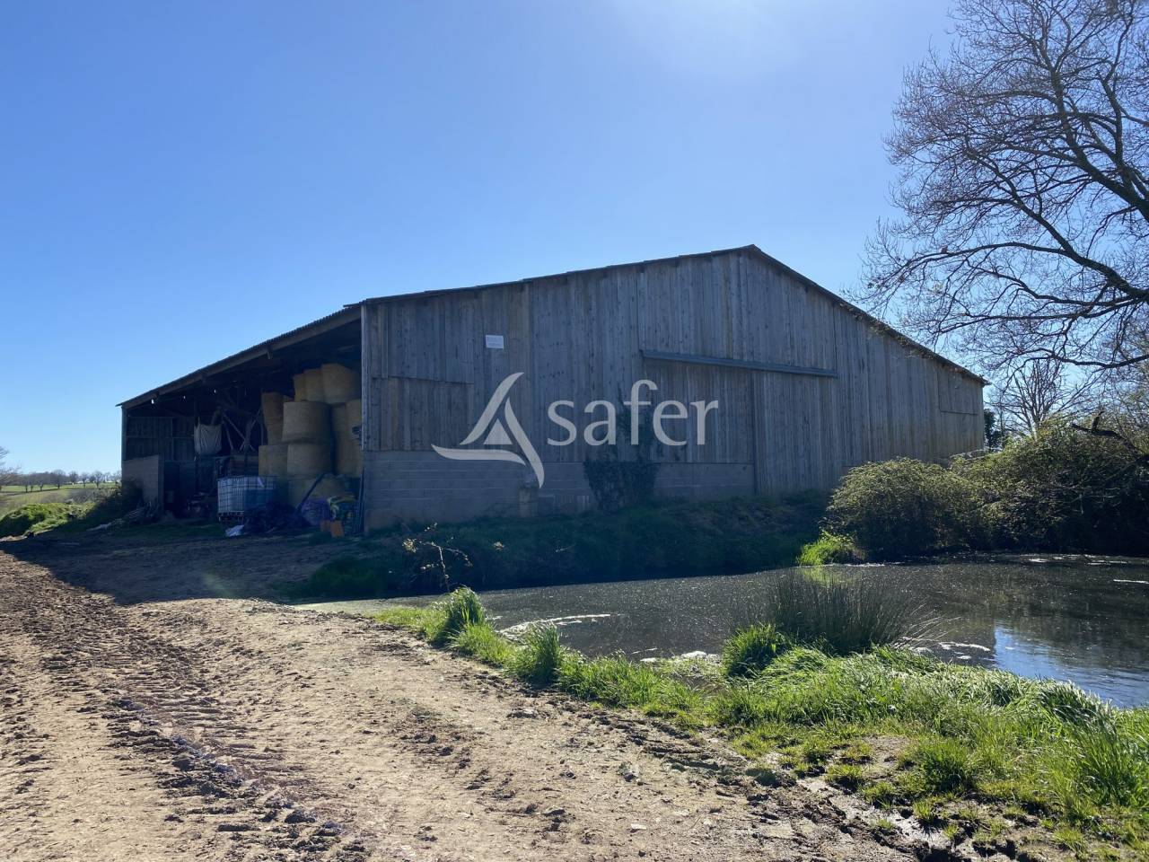 Schapen exploitatie Koop Allier