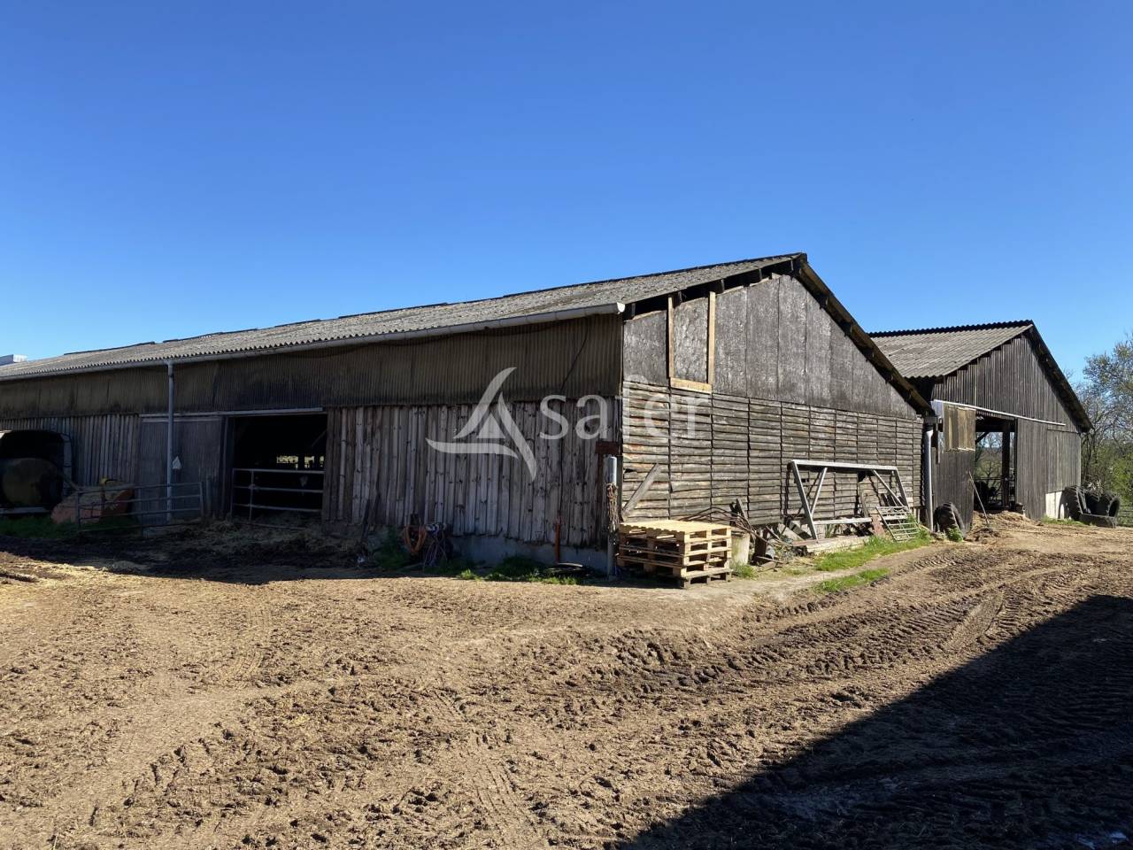 Schapen exploitatie Koop Allier