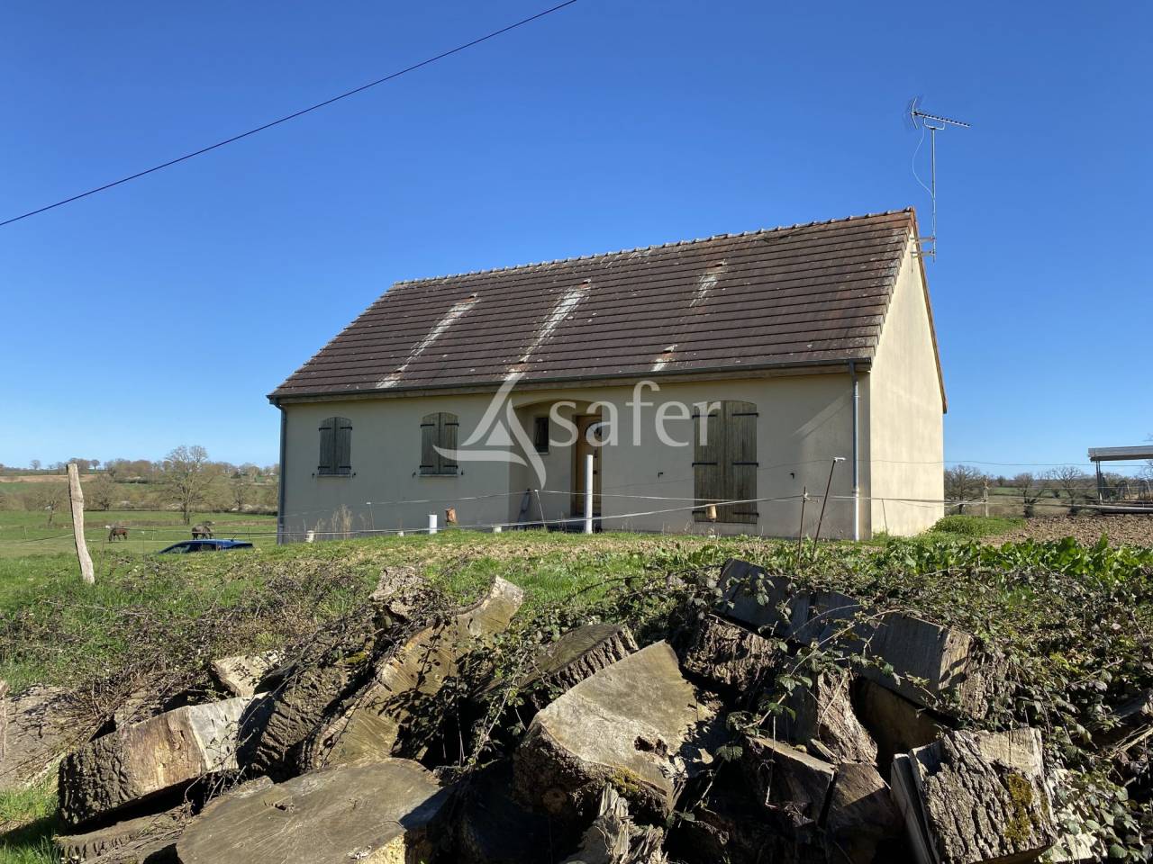 Schapen exploitatie Koop Allier