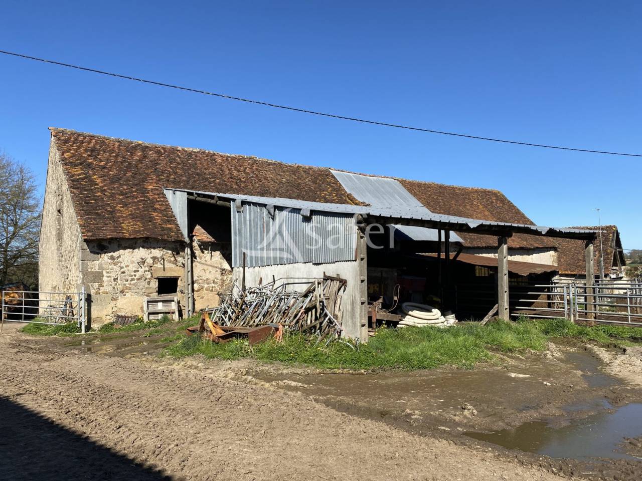 Schapen exploitatie Koop Allier