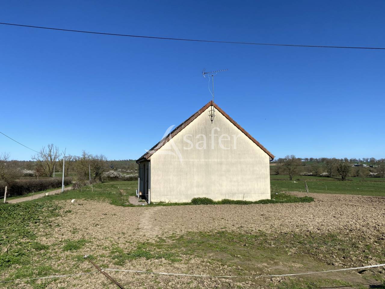 Schapen exploitatie Koop Allier