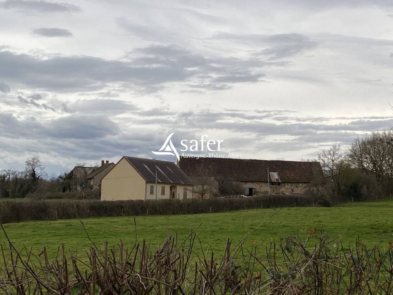 Schapen exploitatie Koop Allier