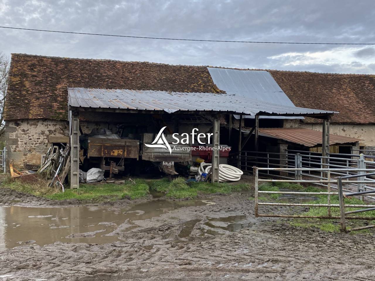 Schapen exploitatie Koop Allier