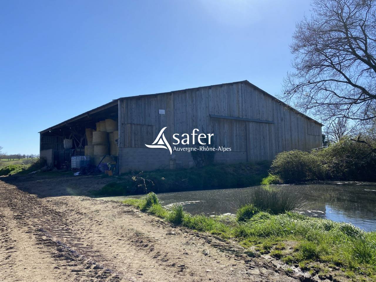 Schapen exploitatie Koop Allier