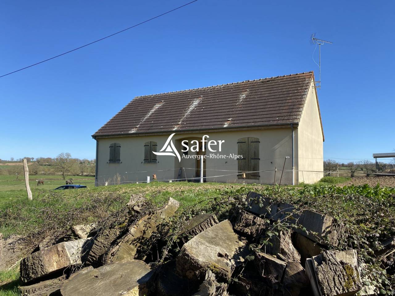 Schapen exploitatie Koop Allier