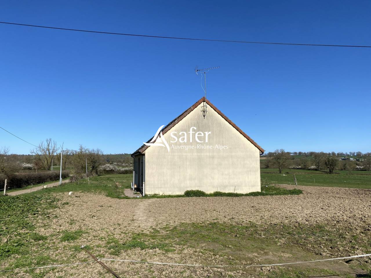 Schapen exploitatie Koop Allier