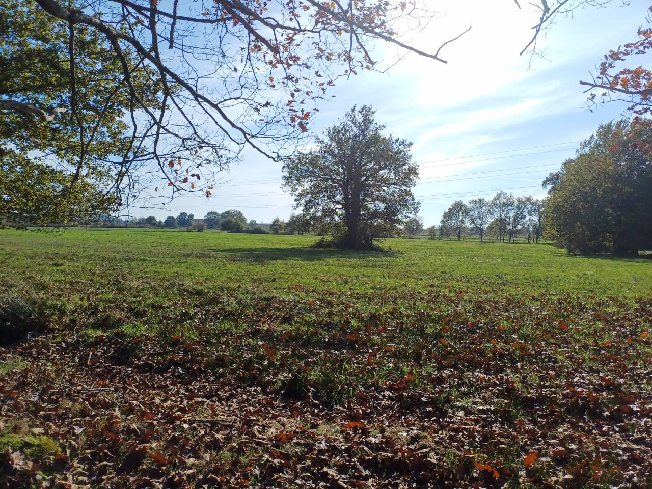 Hippisch vastgoed Koop Dordogne