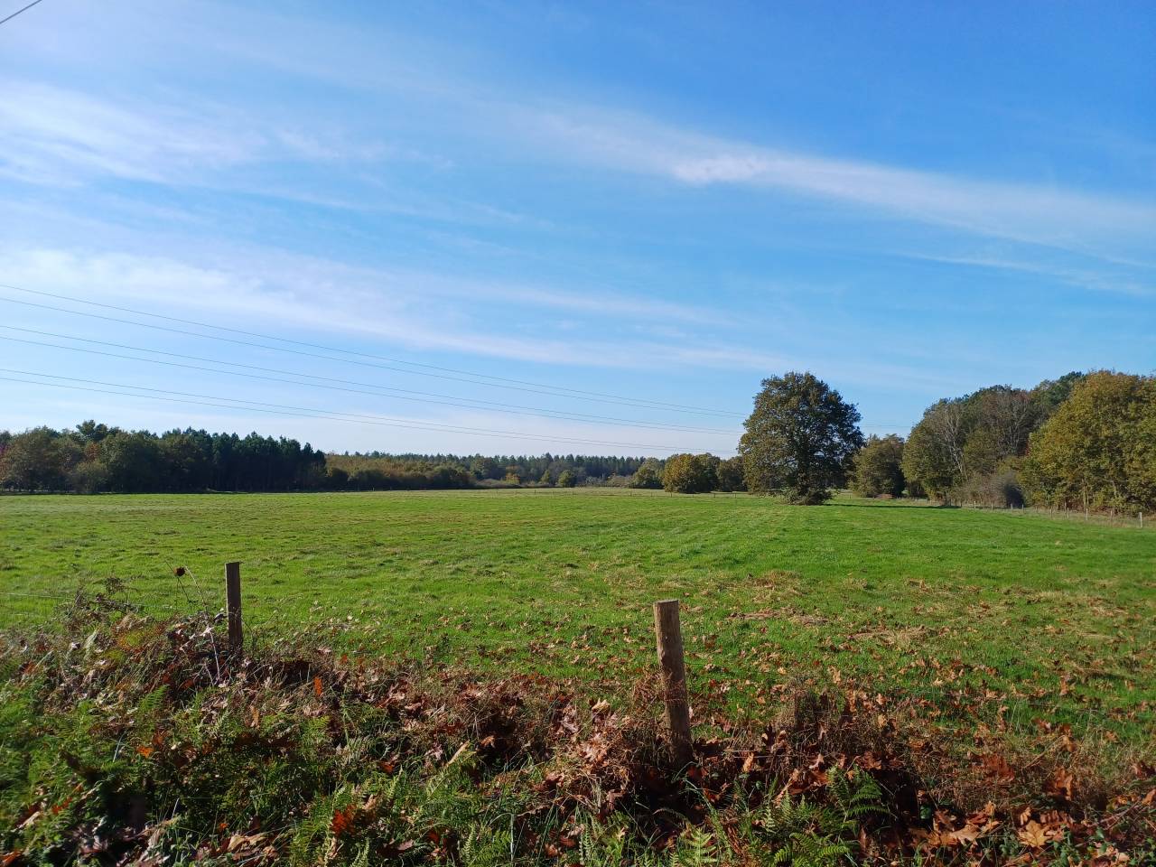 Hippisch vastgoed Koop Dordogne