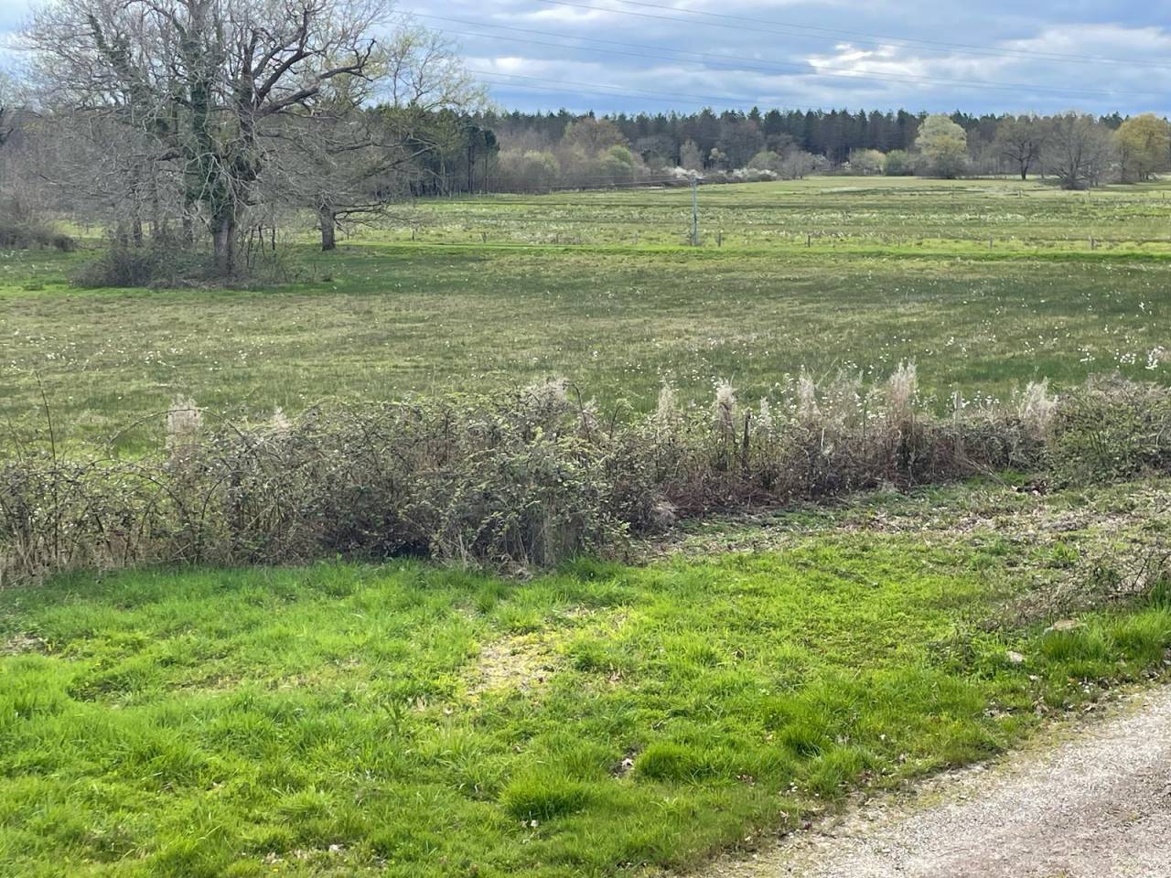 Hippisch vastgoed Koop Dordogne
