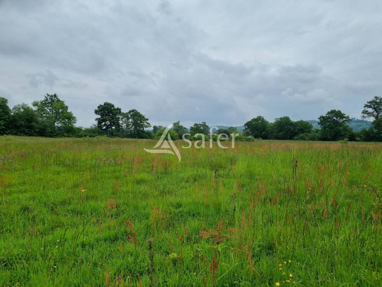 Ander plattelands vastgoed Koop Hautes-Pyrénées