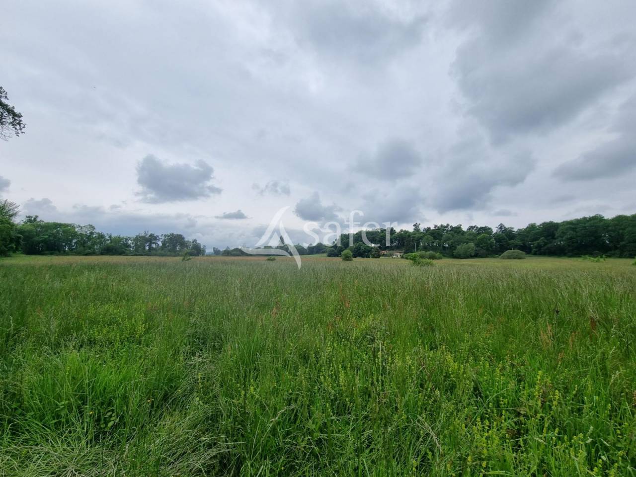 Ander plattelands vastgoed Koop Hautes-Pyrénées