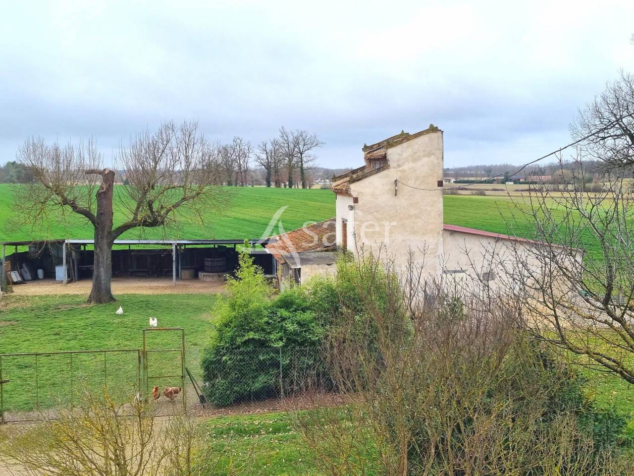 Landbouw bedrijf Koop Tarn-et-Garonne