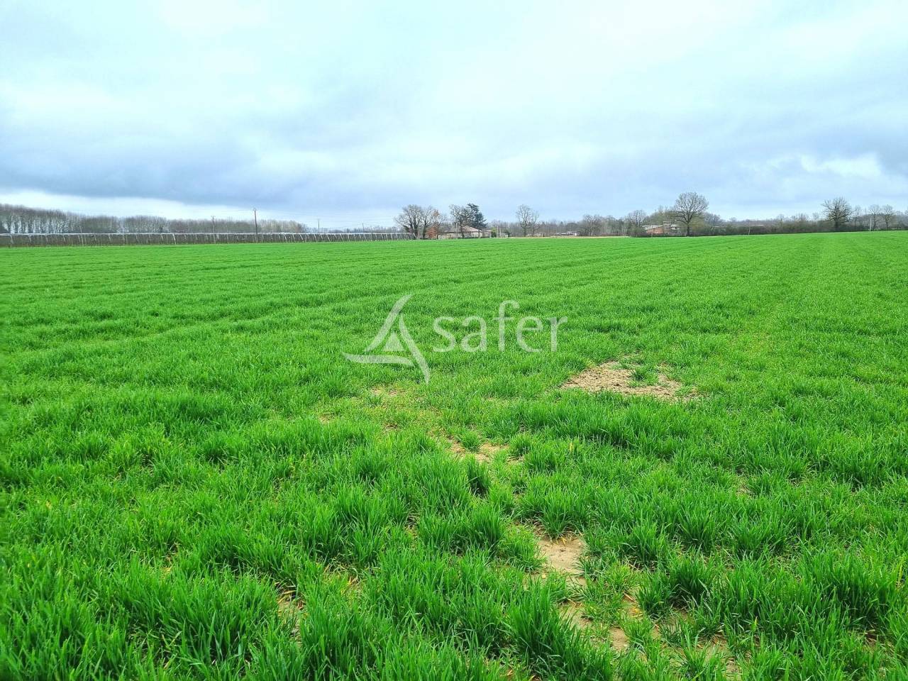 Landbouw bedrijf Koop Tarn-et-Garonne