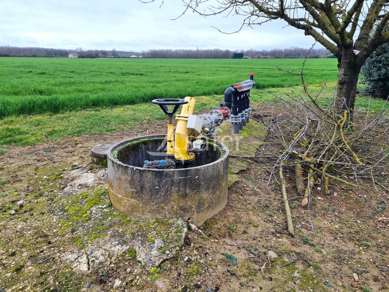 Landbouw bedrijf Koop Tarn-et-Garonne